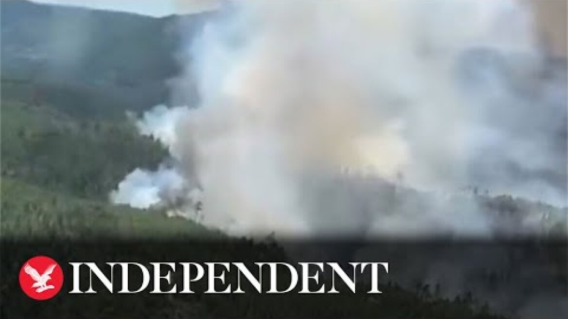 Europe heatwave: Watch wildfires ravage Portugal as Spanish Air Force called in to douse flames