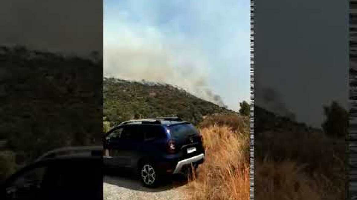 Φωτιά στην Μάνη