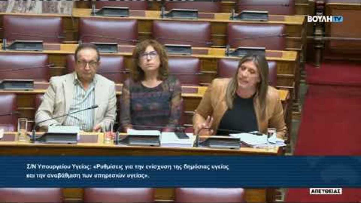The fight between Gerovasilis and Konstantopoulou in the Parliament