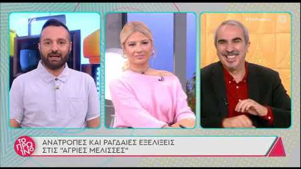 Άγριες Μέλισσες Spoiler: Η συνάντηση Ελένης - Δρόσως μετά από 6 χρόνια