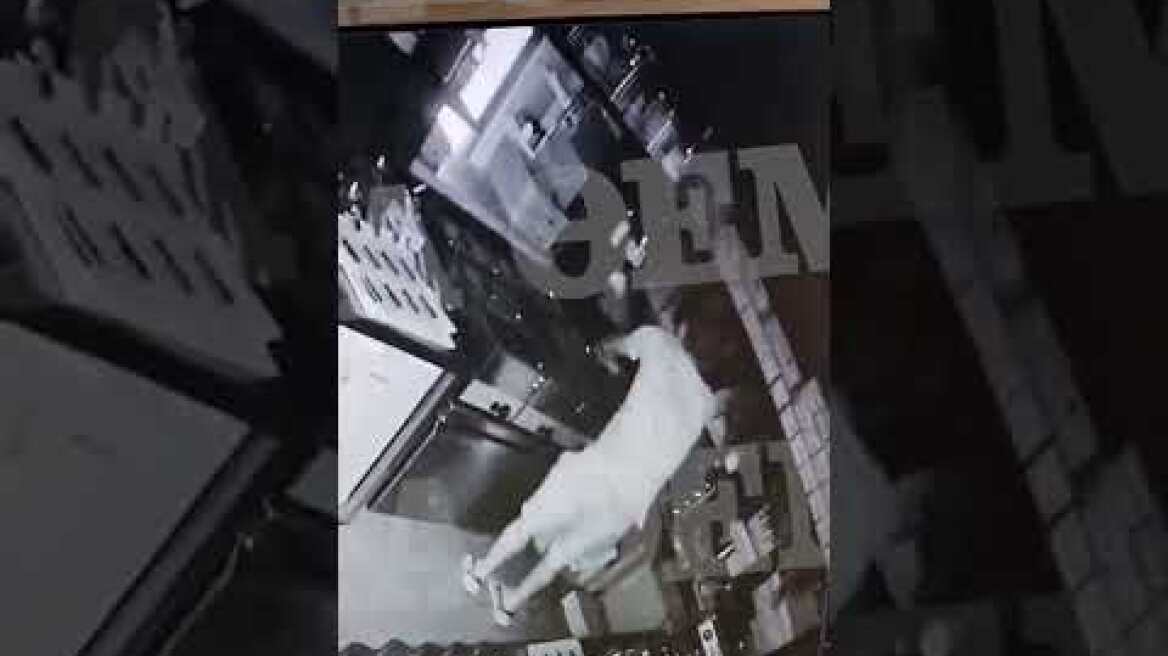 Βίντεο ντοκουμέντο με διαρρήκτες που «χτυπούν» καταστήματα εστίασης στον Εύοσμο (2)