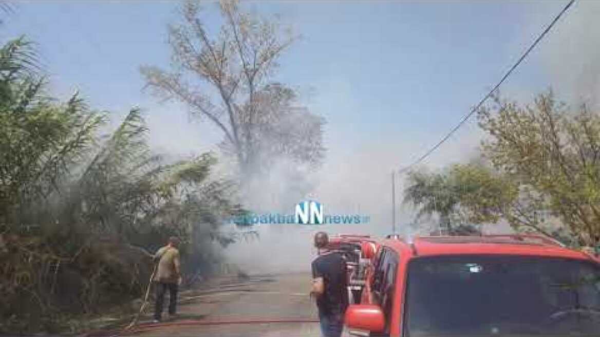 Μεγάλη φωτιά στο Κρυονέρι Ναυπακτίας κοντά σε σπίτια.