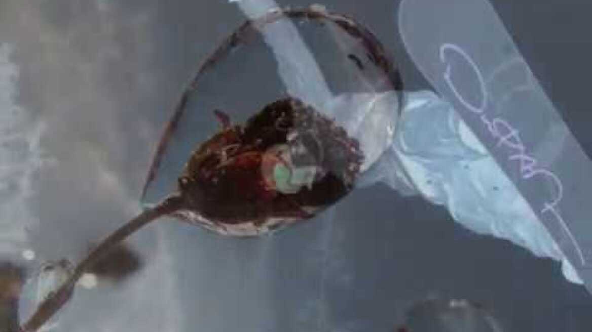 Λαυρέντης Μαχαιρίτσας - Φλασάκι