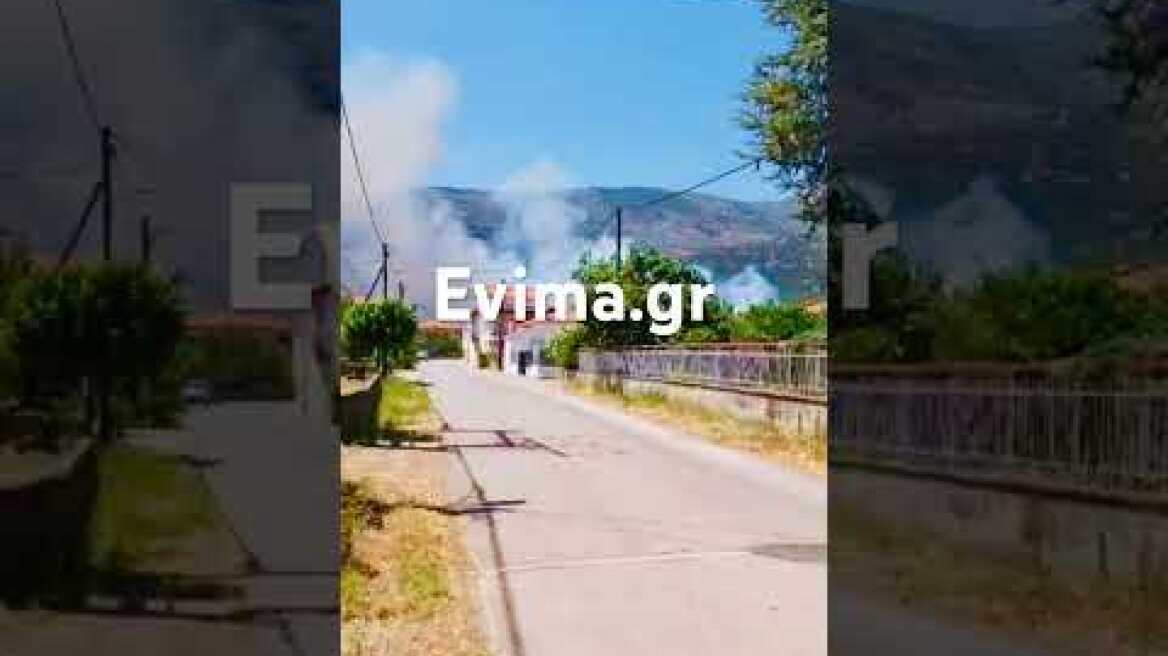 Μεγάλη φωτιά στην Εύβοια