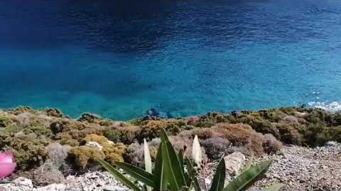 Αυτοκίνητο έπεσε στη Θάλασσα στην περιοχή  Αργινώντα Καλύμνου. Νεκρός ανασύρθηκε ο οδηγός.