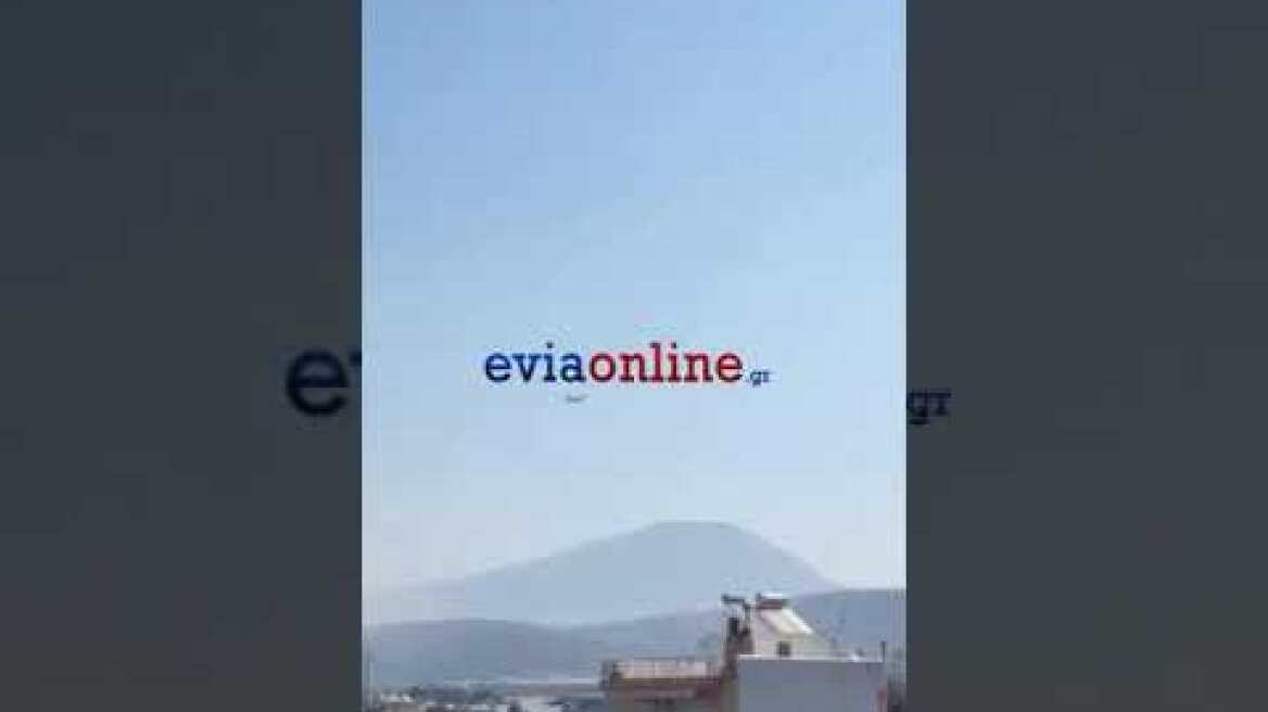 φωτιά εύβοια ψαχνα