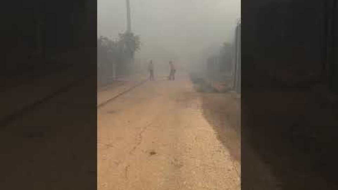 Φωτιά στα Βριλήσσια (3)