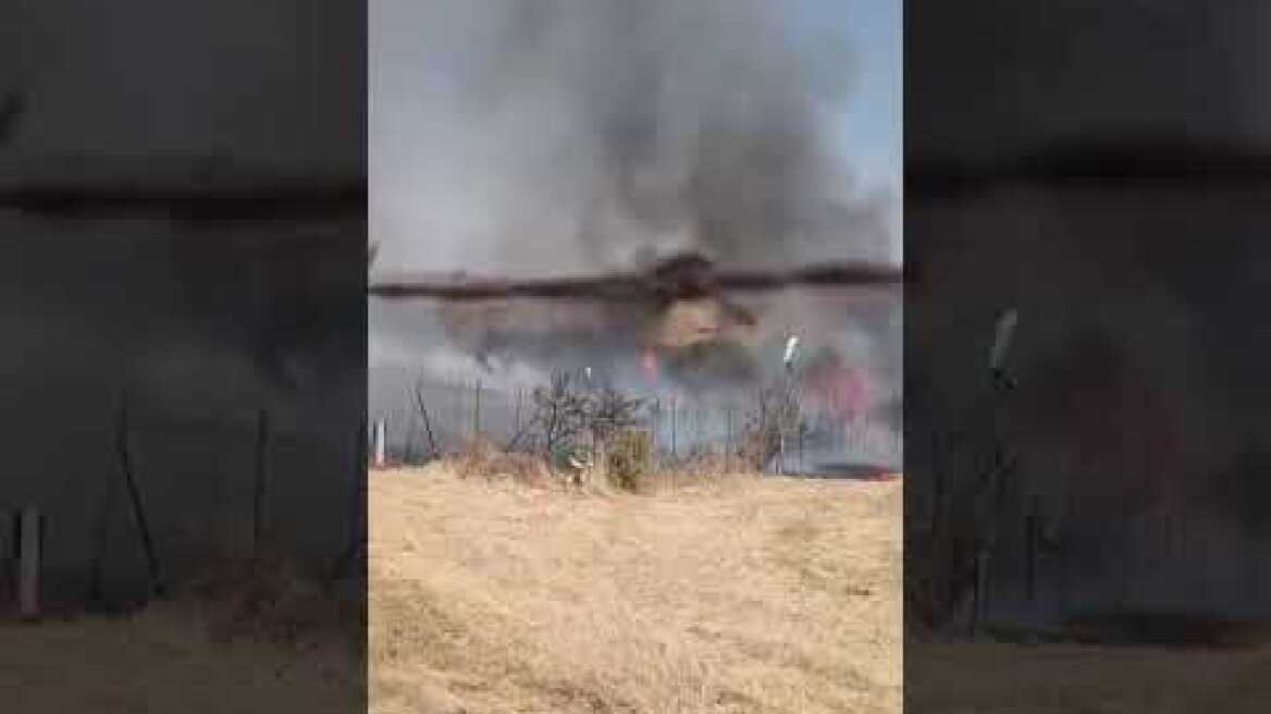 Φωτιά Κιλκίς (2)