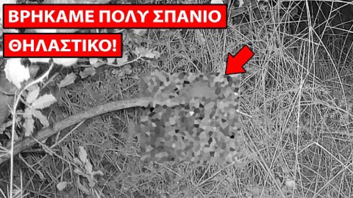 Βρήκαμε Πολύ Σπάνιο Θηλαστικό που δεν γνωρίζει σχεδόν κανείς!