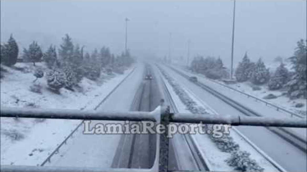 LamiaReport.gr: Χιονόπτωση στο Μαρτίνο 30-12-19