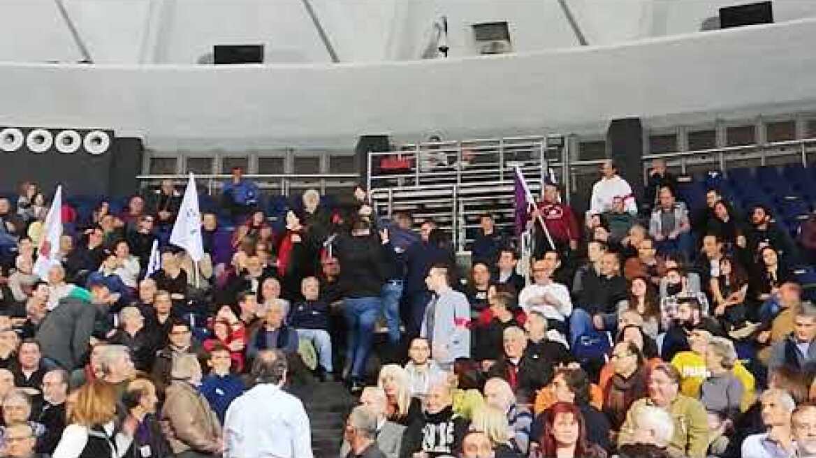 Διαδηλωτής Παλε