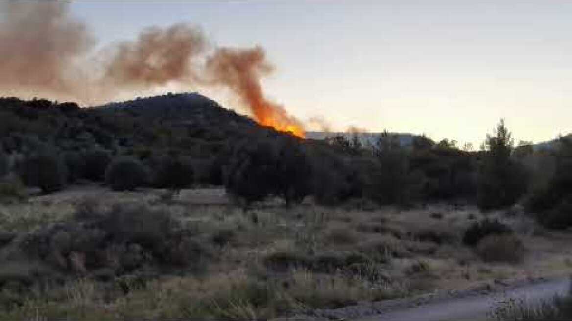 Εικόνες από τη φωτιά στη Βούλα (2)
