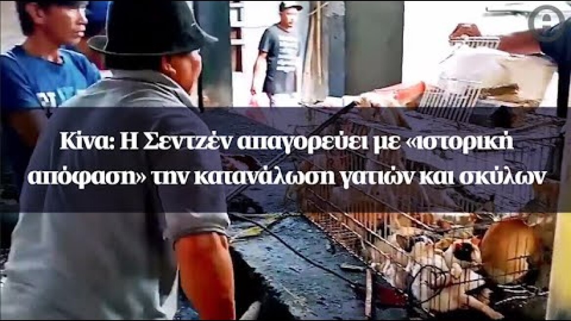 Κίνα: Η Σεντζέν απαγορεύει με «ιστορική απόφαση» την κατανάλωση γατιών και σκύλων