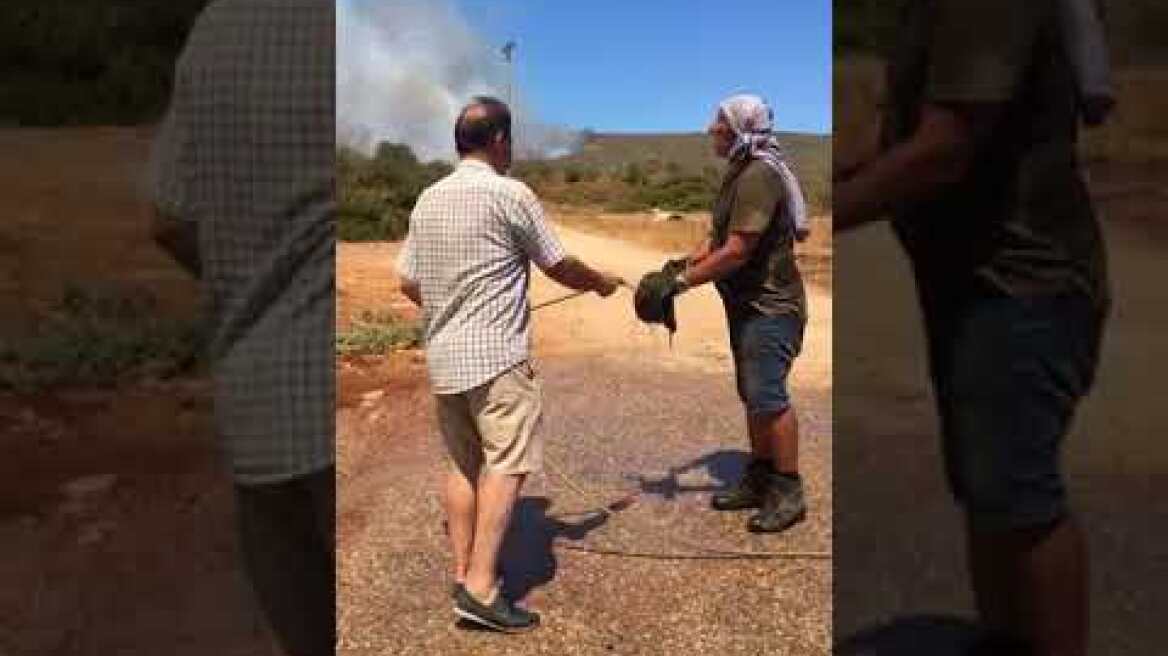 Φωτιά στον Μαραθώνα: Κάτοικοι καταβρέχουν έξω από τα σπίτια τους