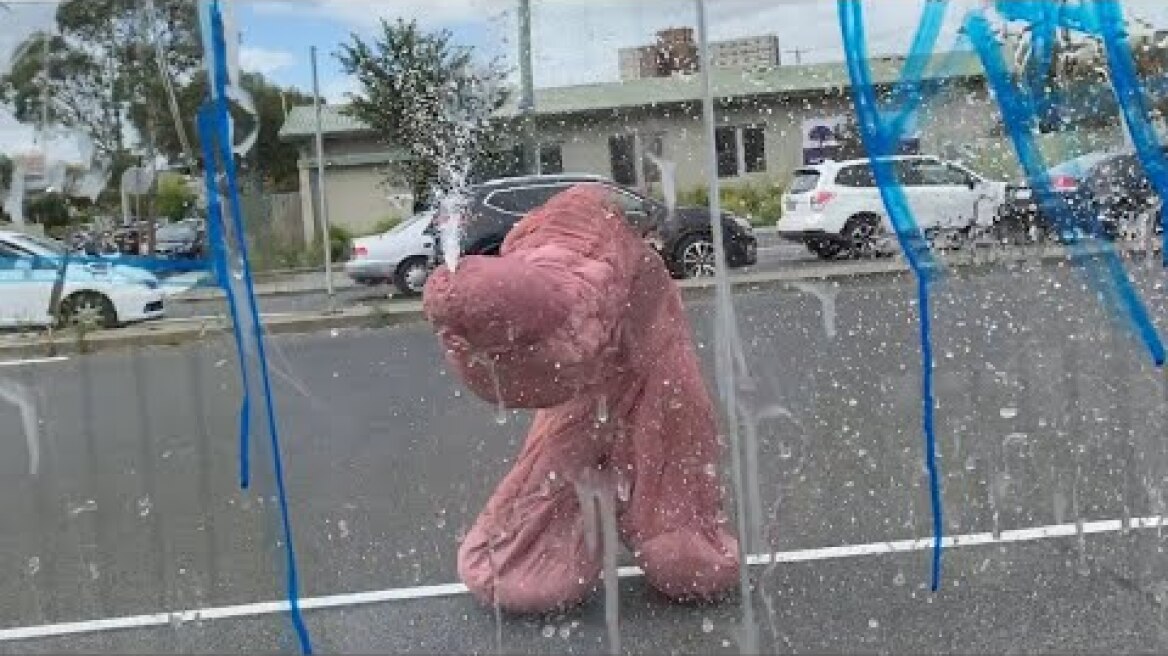 Off The Shelf - Livestream with Everybody's Human Body Parts