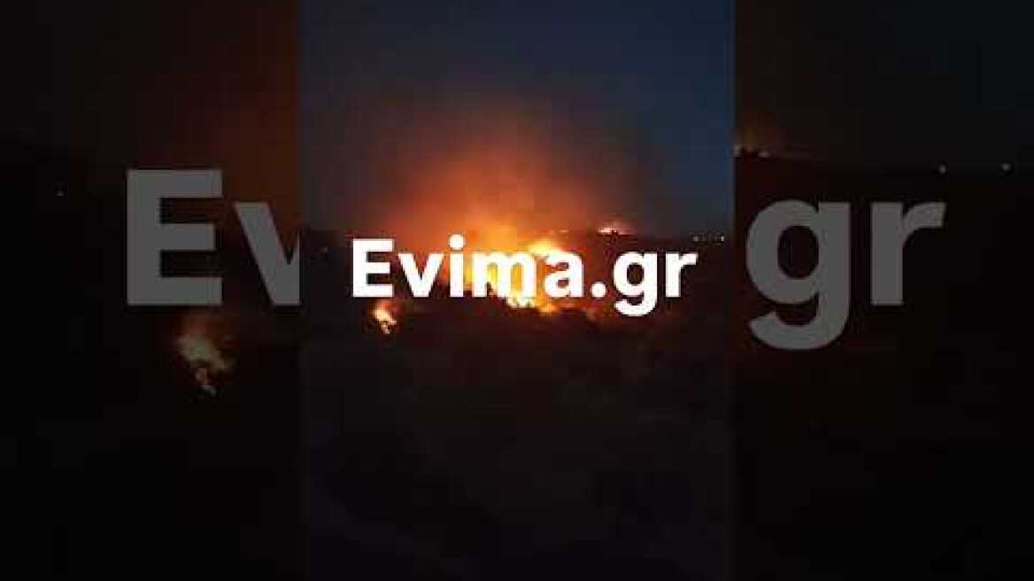 Επιχειρούν εναέρια μέσα στη φωτιά στα Μεσοχώρια της Εύβοιας: Νέο μήνυμα του 112 για εκκένωση του Λιμνιώνα, κοντά σε σπίτια οι φλόγες Μάχη με τις φλόγες στην Εύβοια