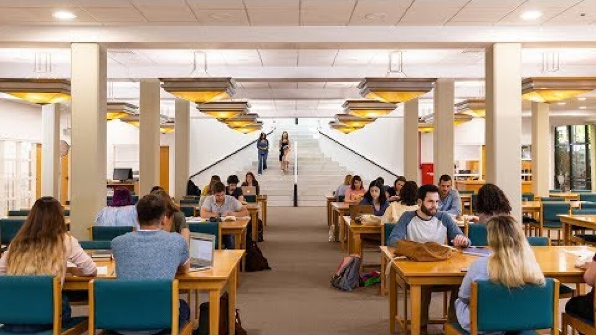 "The future" - New Deree Campaign