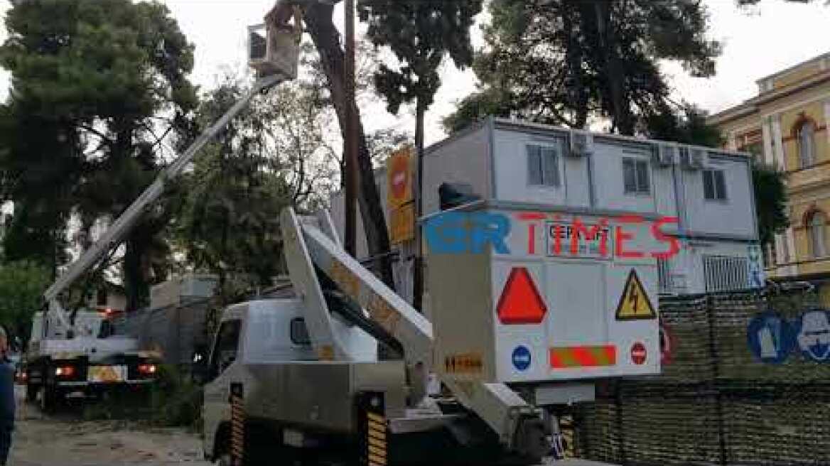 Πτώση δέντρου Θεσσαλονίκη - GRTimes.gr