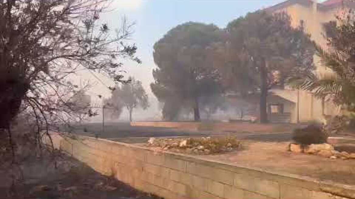 Φωτιά στο Λαγονήσι (13)