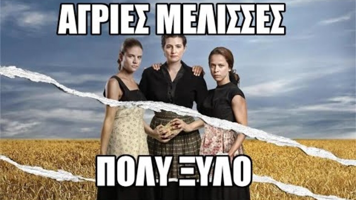 ΑΓΡΙΕΣ ΜΕΛΙΣΣΕΣ - ΠΟΛΥ ΞΥΛΟ (Α΄ &   Β΄ ΚΥΚΛΟΣ)
