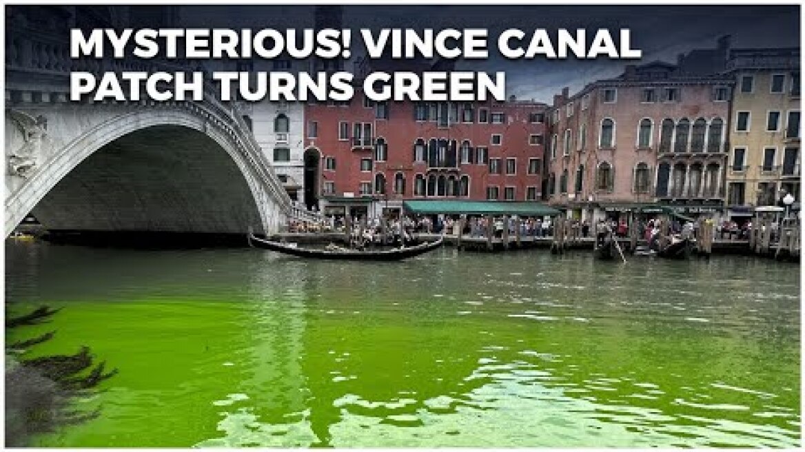 Italy News Live: Venice Canal Patch Turns Fluorescent Green, Authorities Open Urgent Investigation