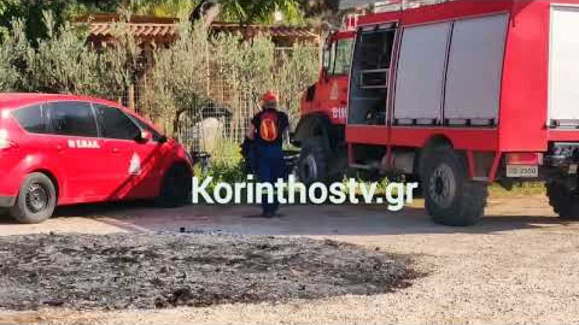 Κορινθία: Συναγερμός στα Λουτρά Ωραίας Ελένης - Έρευνες για τον εντοπισμό του 66χρονου