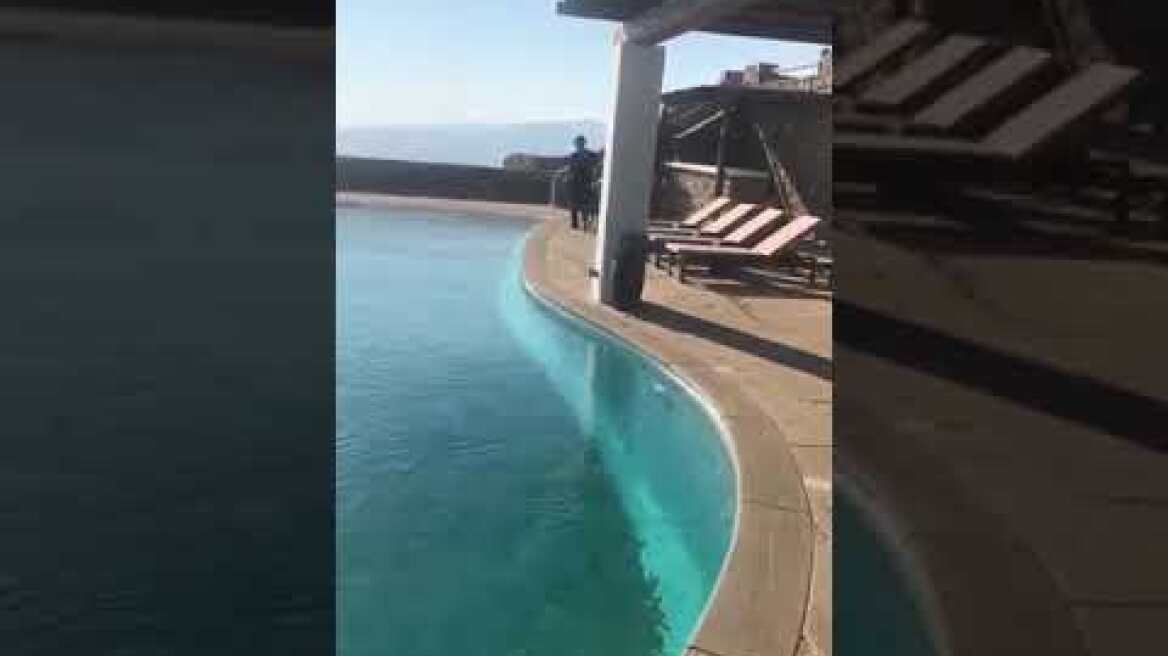 Μύκονος: Φέρνουν σκύλους- bodyguards για να φυλάνε τις βίλες (1)