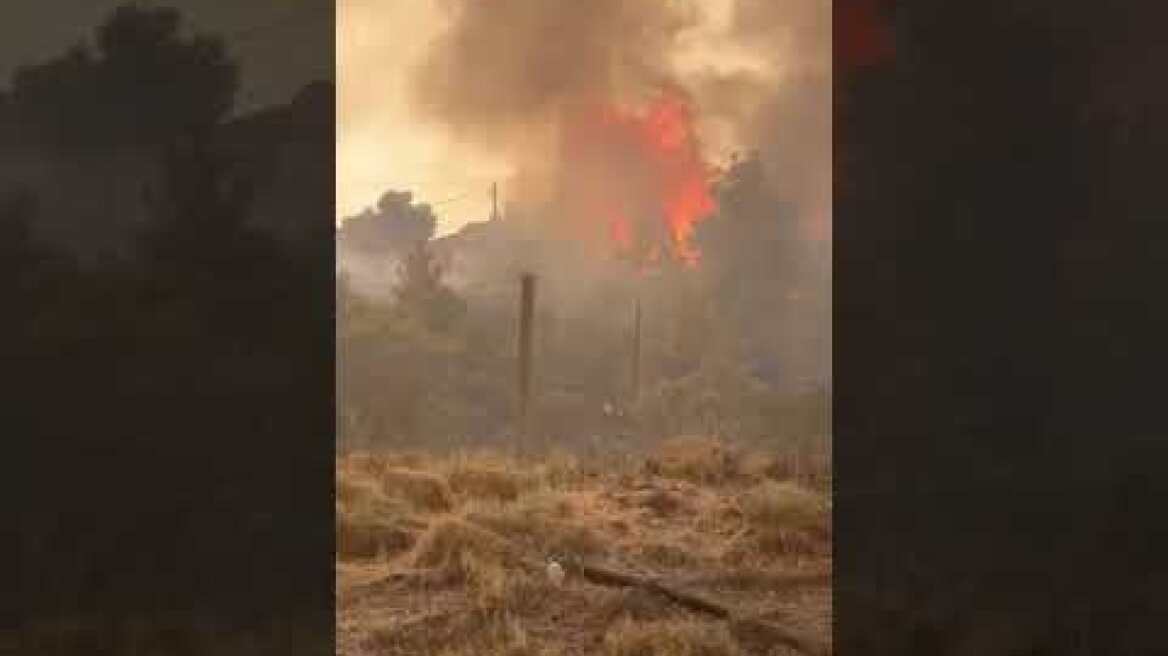 Μάχη με τις φλόγες για να μην περάσει η φωτιά στο Καλαμάκι. Εικόνες από την Παλαιά Εθνική οδό (2)