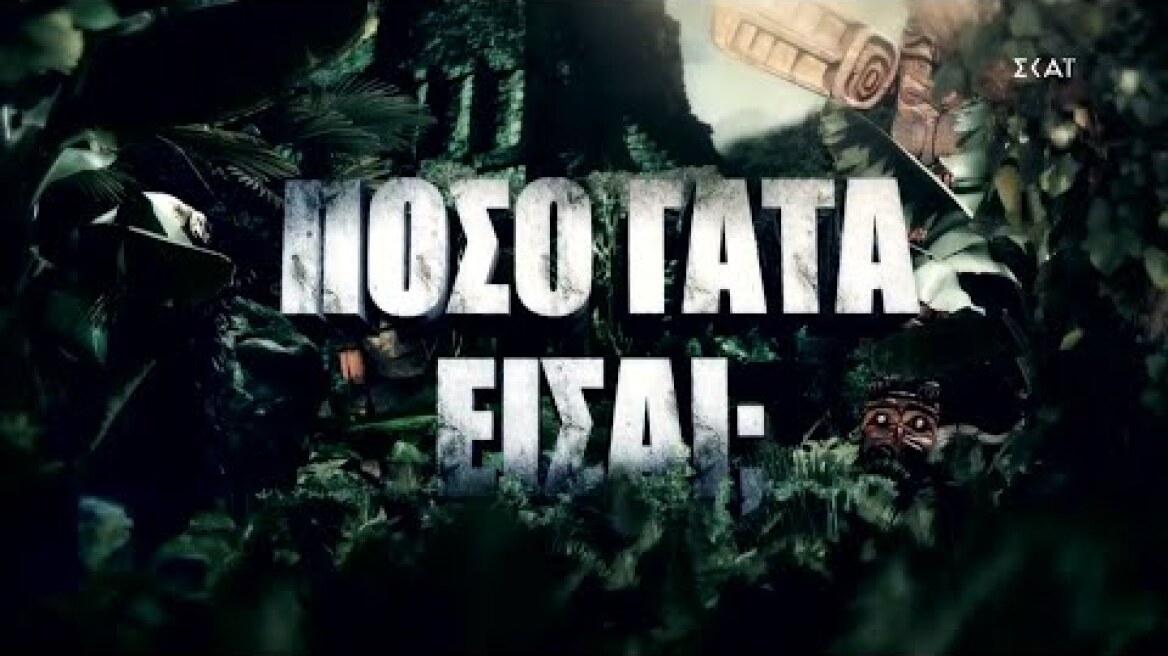 Πόσο γάτα είσαι;