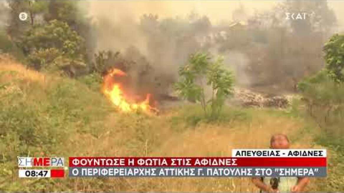 Αφίδνες φωτιά 06/08/2021