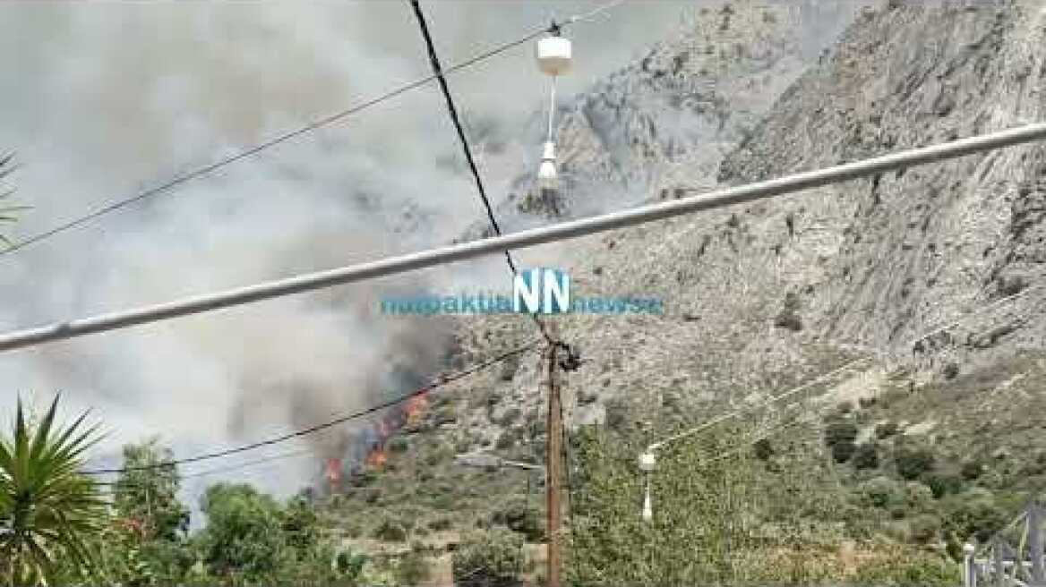 Μεγάλη φωτιά στο Κρυονέρι Ναυπακτίας κοντά σε σπίτια.