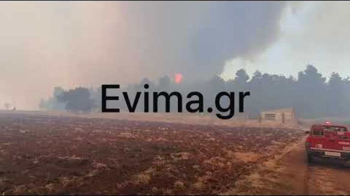 Μεγάλη φωτιά στην Εύβοια 