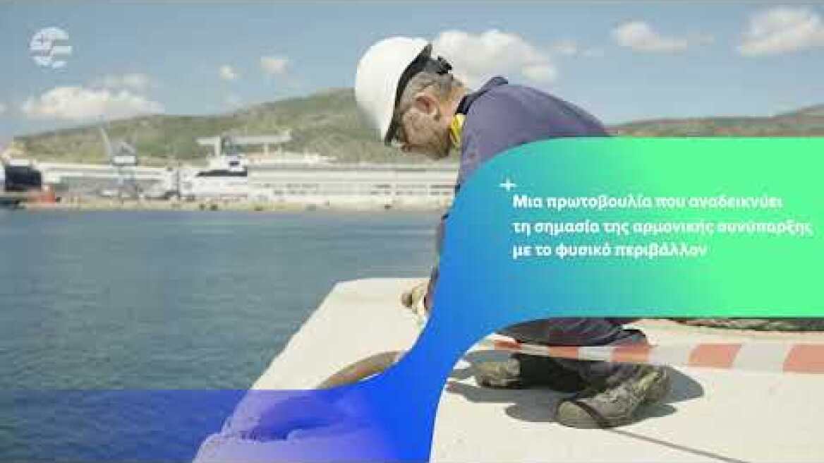 Ένας απρόσμενος «ένοικος» στις εγκαταστάσεις μας στην Ελευσίνα