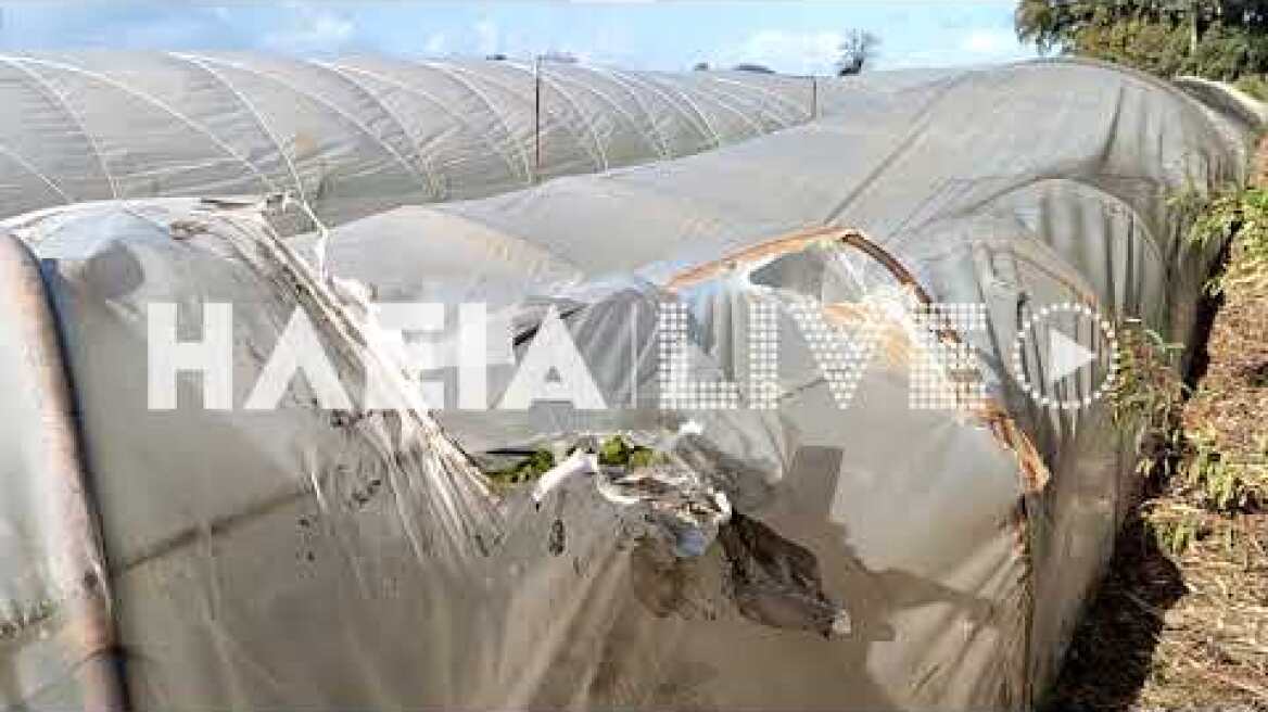 ilialive.gr - Ανεμοστρόβιλος έπληξε την Δήμητρα Βαρθολομιού