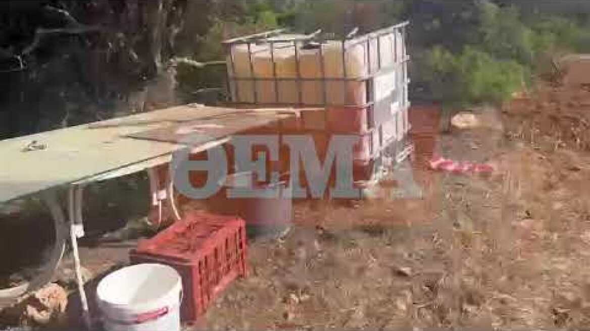 Ο αμπελώνας στη Ραφήνα που βρέθηκε ο νεκρος