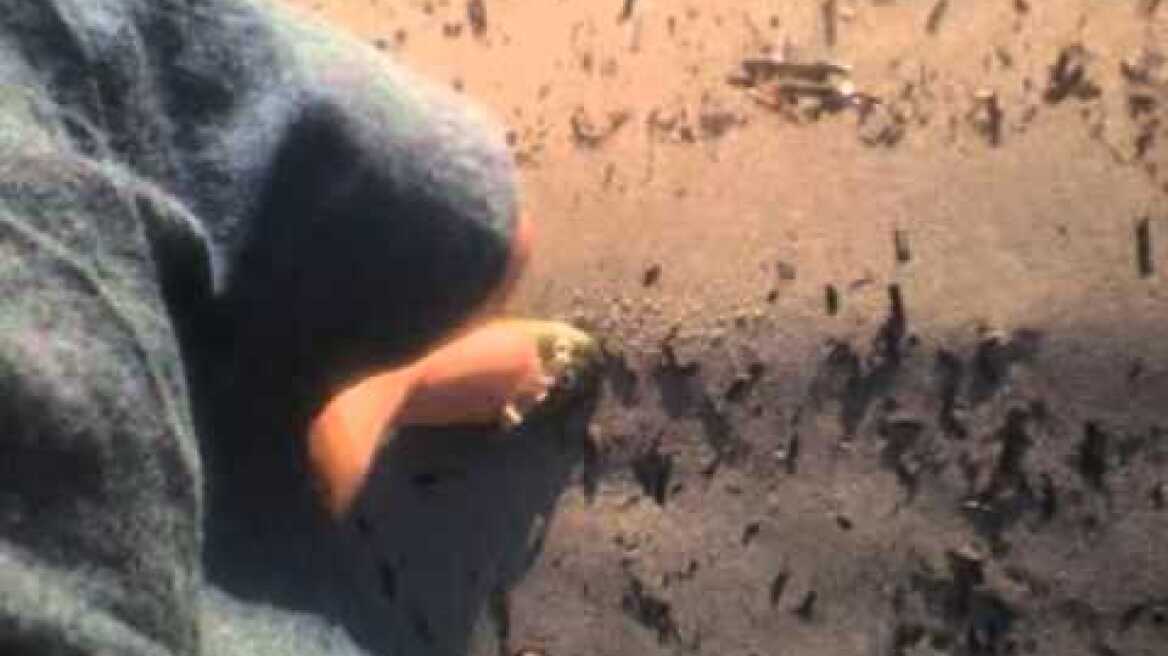 Απόψε Σιωπηλοί Νίκος Παπάζογλου