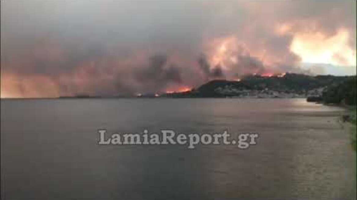 LamiaReport.gr: Μεγάλη πυρκαγιά στη Λίμνη Ευβοίας