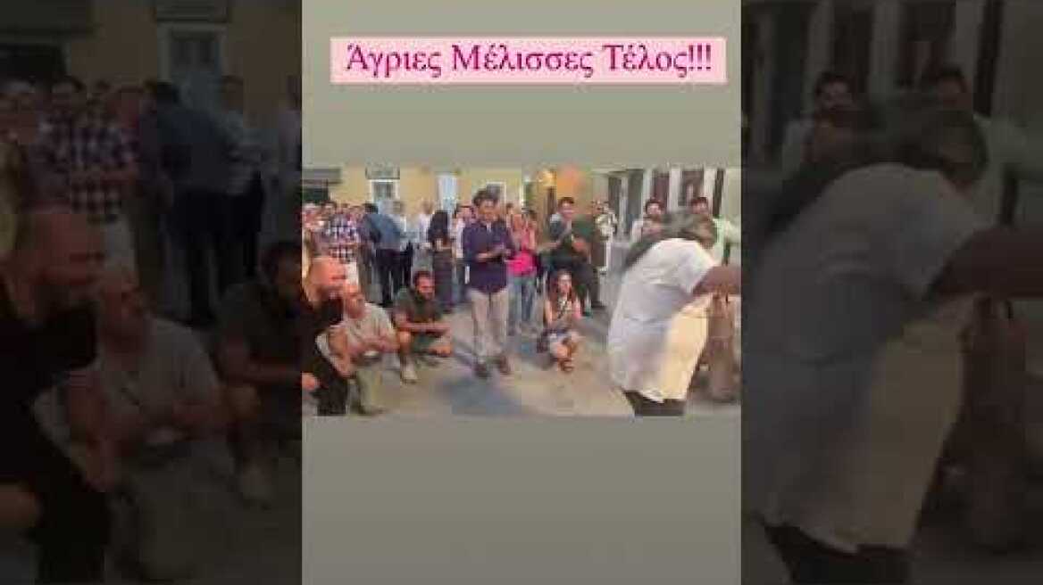 Το πάρτι των Άγριων Μελισσών