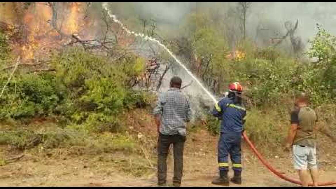 Εύβοια Κεχριές φωτιά 5/8/2021