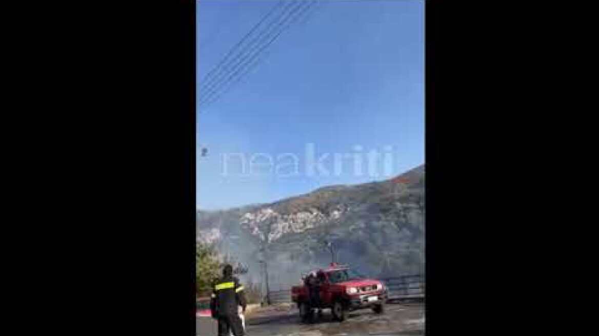 Φωτιά στο Κατωφύγι - Ισχυρές πυροσβεστικές δυνάμεις στην περιοχή