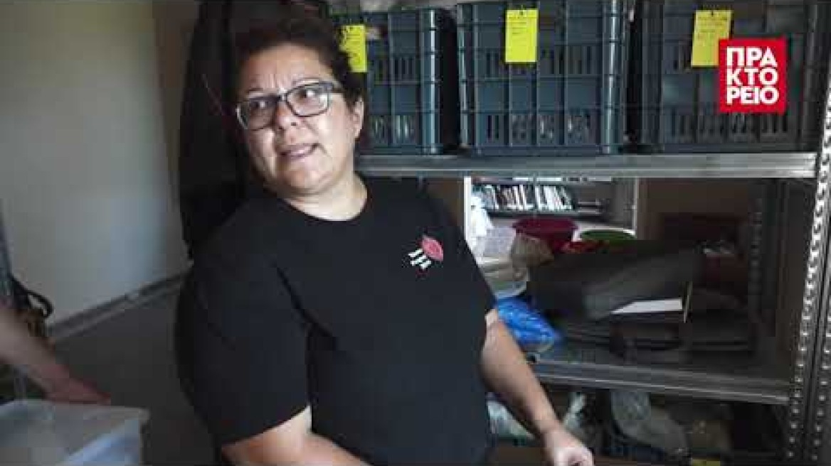 Αρχαία Τενέα