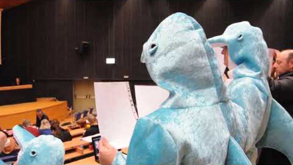 Περιφερειακό Συμβούλιο Μεταφορών - Αττικό Πάρκο - Παρανομίες | Θεάματα Δελφινιών