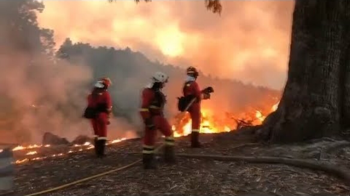 Evacuados barrios de 6 municipios por el incendio en Gran Canaria