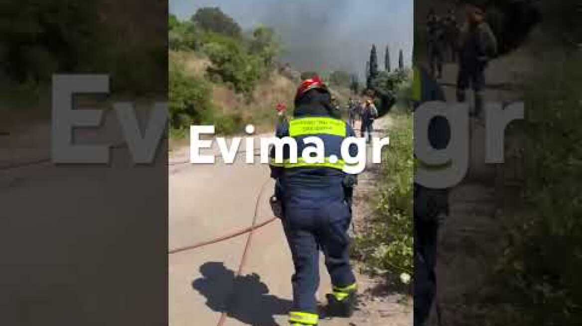 Φωτιά στον Αλμυροπόταμο