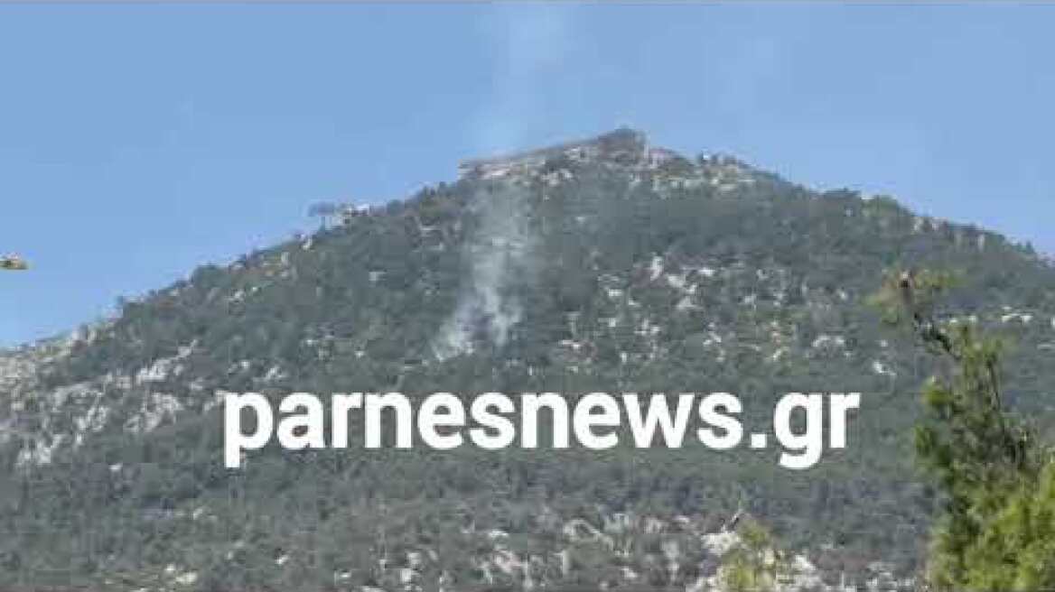 Φωτιά στην Πάρνηθα, ρίψη καναντερ