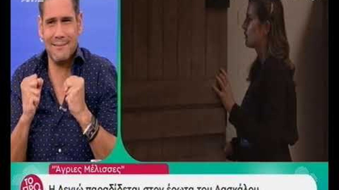 Άγριες Μέλισσες - Αποκλειστικό ΑΝΤ1