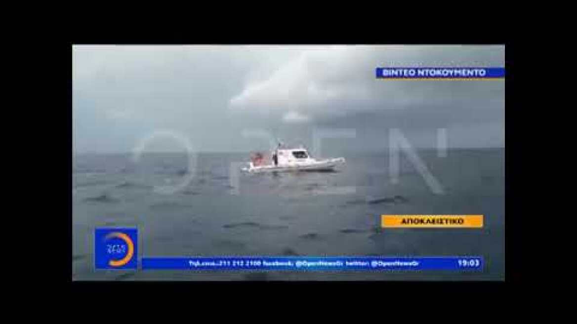 Η μάχη της τσιπούρας