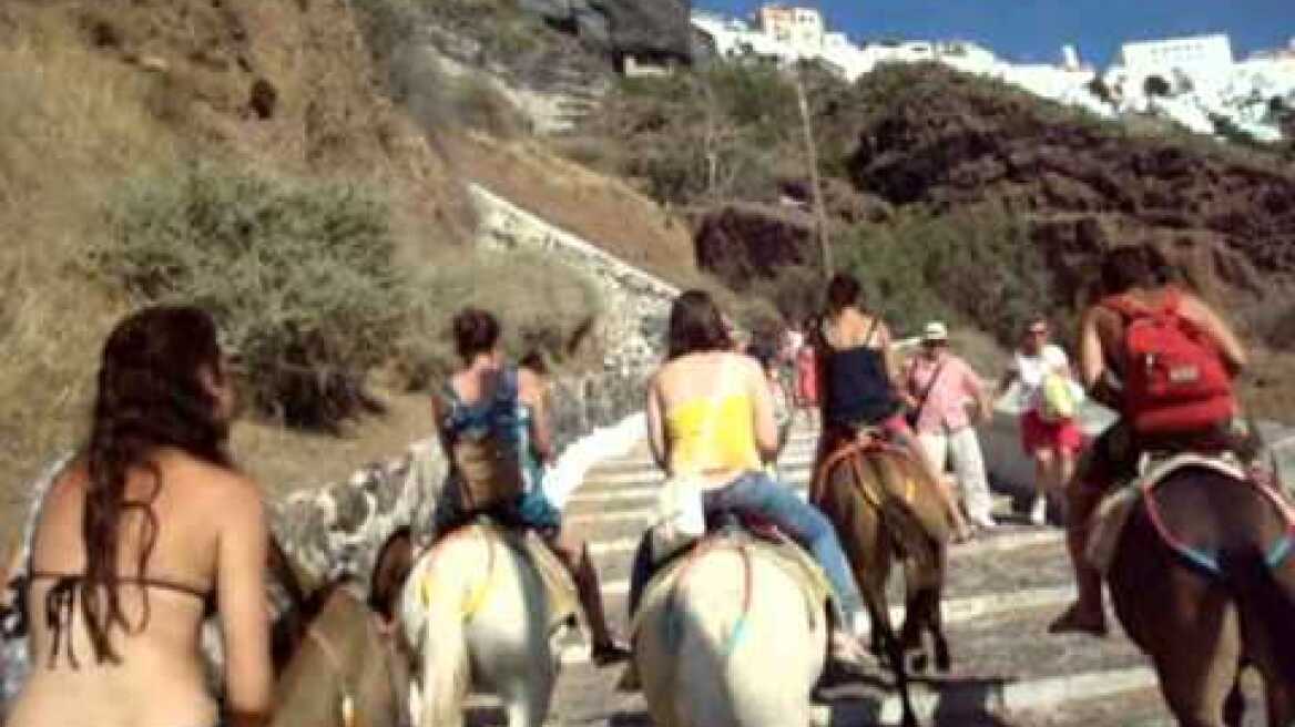 Donkey Ride - Santorini - Greece cruise ΑΝΑΒΑΣΗ ΣΑΝΤΟΡΙΝΗ ΜΟΥΛΑΡΙΑ ΓΑΙΔΟΥΡΑΚΙΑ ΑΛΟΓΑ sakis zaf