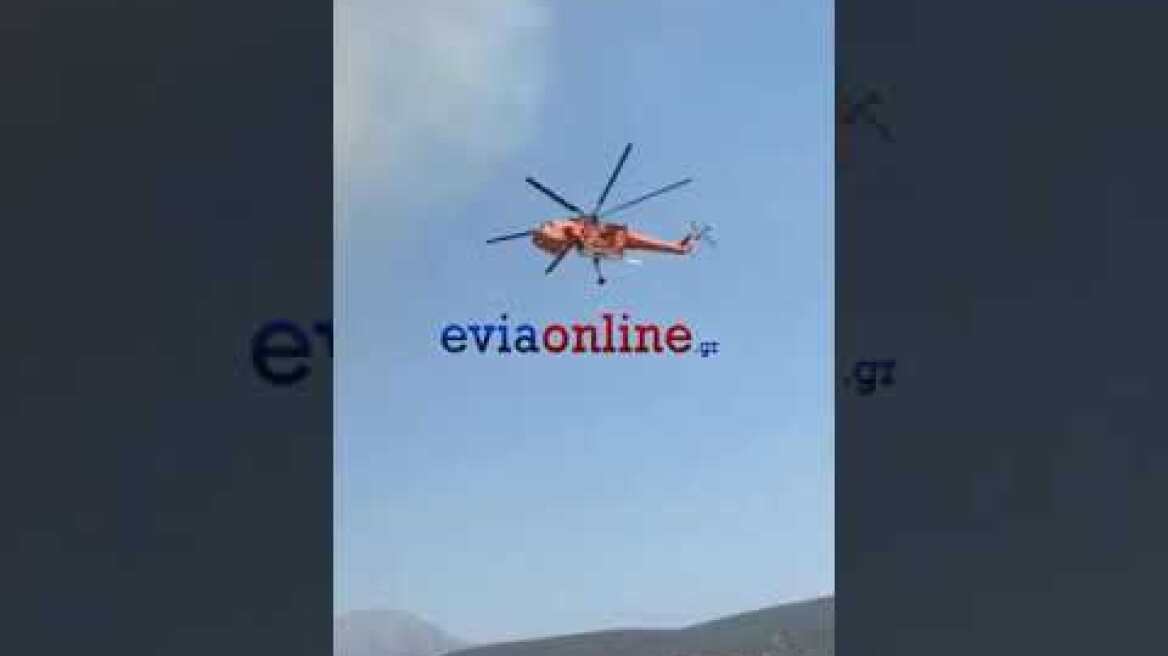 Μεγάλη Φωτιά στα Ψαχνά