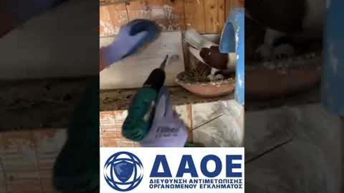 Δικογραφία για παράβαση της νομοθεσίας για τα ναρκωτικά σε βάρος συλληφθέντα στην Θεσσαλονίκη